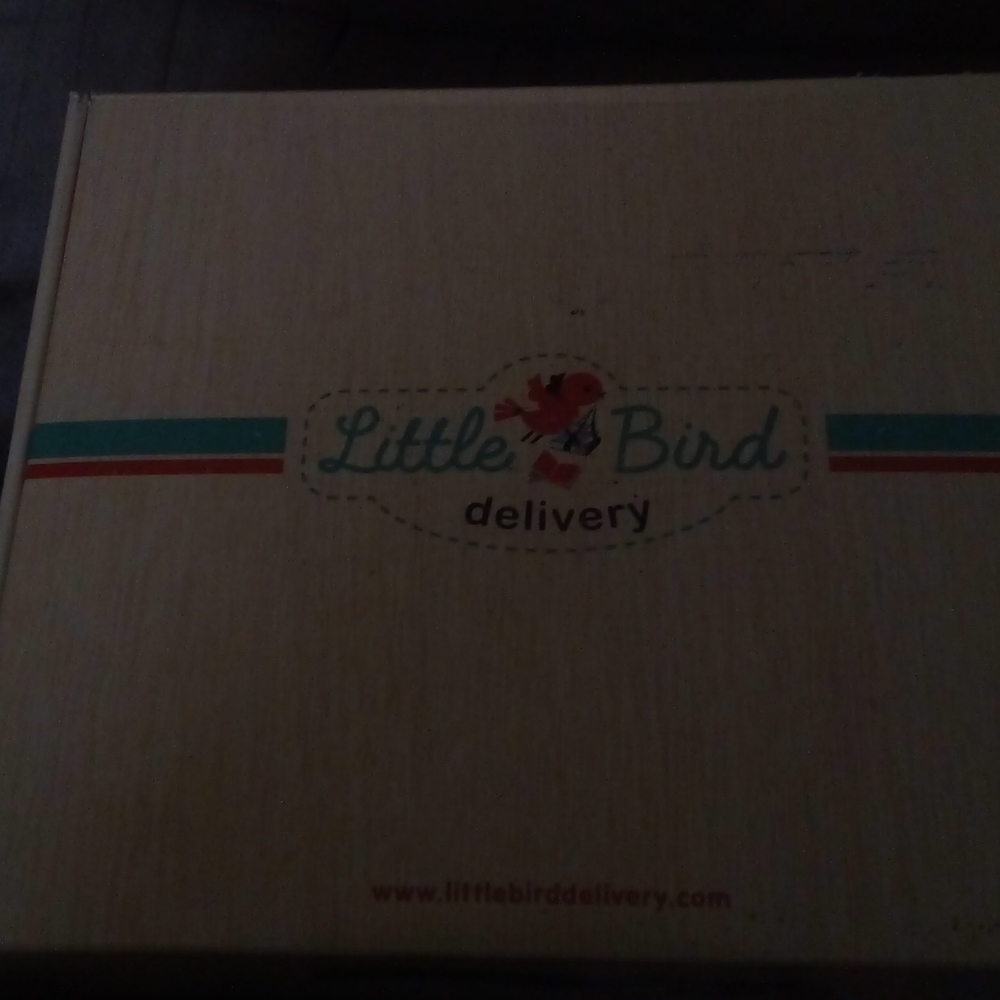 Little bird delivery book's for baby's